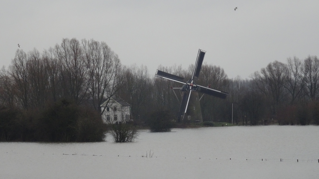 dichterbij