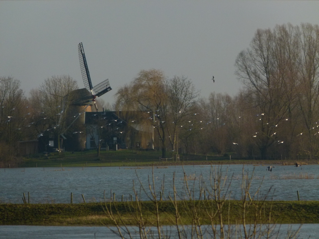 vanaf de overkant